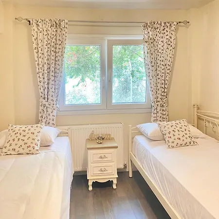 Gospodarstwo wiejskie Lorantina Luxury Sea View House Close To Barbati & Ipsos With Starlink Wifi